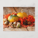 Search for pumpkin postcards Colourful