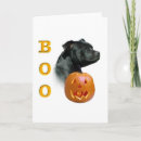 Search for staffie cards Staffordshire