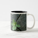 Search for bouldering mugs Outdoors