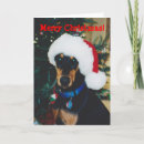 Search for doberman christmas cards Santa