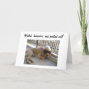 Search for waste cards Photography