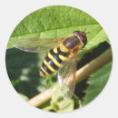 Search for hover stickers Insects