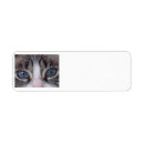Search for eyes return address labels Siamese