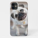 Search for animal head iphone cases Pet