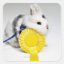 Search for blue and white rabbit stickers Nature