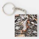 Search for salamander key rings Amphibian