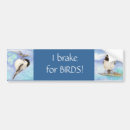 Search for i brake for birds bumper stickers Birding