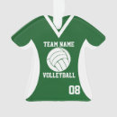 Search for beach volleyball christmas tree decorations Team