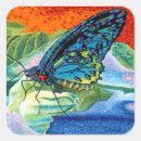 Search for neon butterfly stickers Rainbow