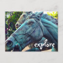 Search for horse postcards Photography
