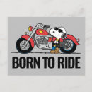 Search for motor cards invites Fun