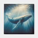 Search for whales magnets Coastal