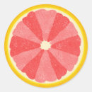 Search for pink grapefruit stickers Summer