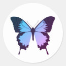 Search for white butterfly stickers Insect