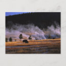 Search for upper postcards Wyoming