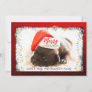 Search for love pug cards Puppy