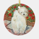 Search for havanese christmas tree decorations Pet
