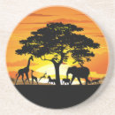 Search for african animal coasters Wildlife