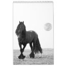 Search for quarter office supplies Pony