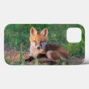 Search for baby fox iphone cases Mammal