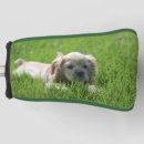 Search for spaniel golf head covers Cute