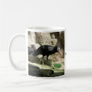 Search for feathered birds mugs Wildlife