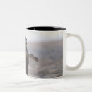 Search for cadiz mugs Horizontal