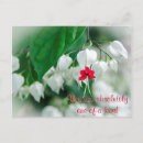 Search for kind heart postcards One of a kind