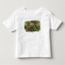 Search for sonora tshirts Close up