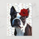 Search for boston postcards Flowers