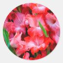 Search for savannah georgia stickers Flora