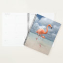 Search for flamingo planners Ocean