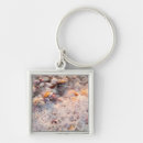 Search for florida seashells key rings Coast