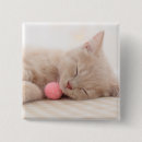 Search for shorthair badges Pet