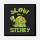 Search for tortoise magnets Reptile