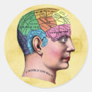 Search for brain anatomy stickers Human