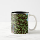 Search for fig mugs Nature