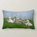 Search for swan nursery cushions Cute