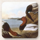 Search for 1838 barware Biology