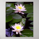 Search for light water posters Photography