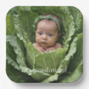 Search for cabbage plates Cute