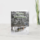 Search for mail carrier christmas cards Xmas