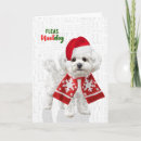Search for bichon christmas cards Pets