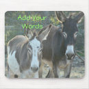 Search for mules electronics Ranch
