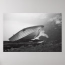Search for black and white boats posters Monochrome