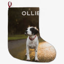 Search for pet photo christmas stockings Cat