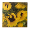 Search for sunflower tiles Sunny