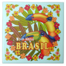 Search for brasil tiles Toucan