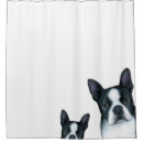 Search for boston terrier shower curtains Funny