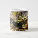 Search for fox in the woods mugs Animal